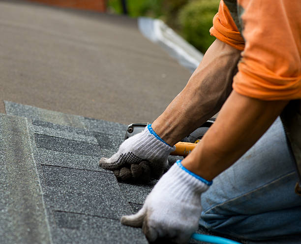 Best Roof Gutter Cleaning  in Essexville, MI